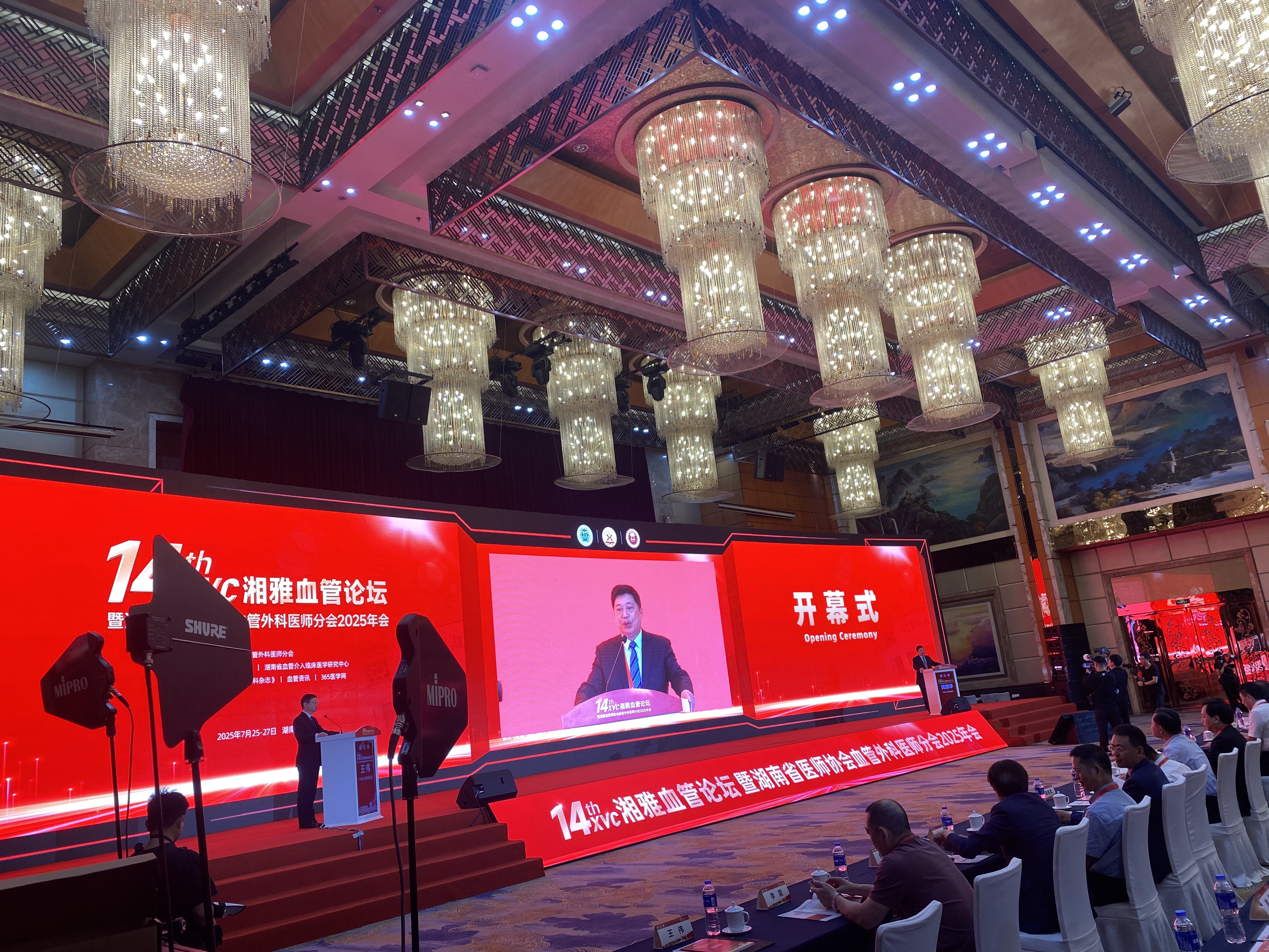 湘雅血管论坛暨湖南省医师协会血管外科医师分会2025年会